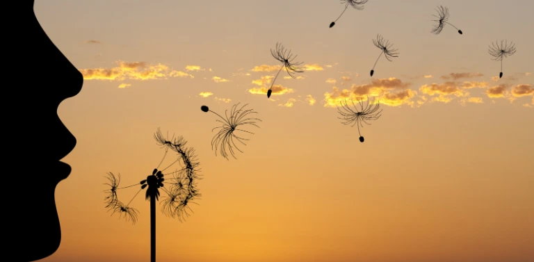 twarz zdmuchująca mlecz