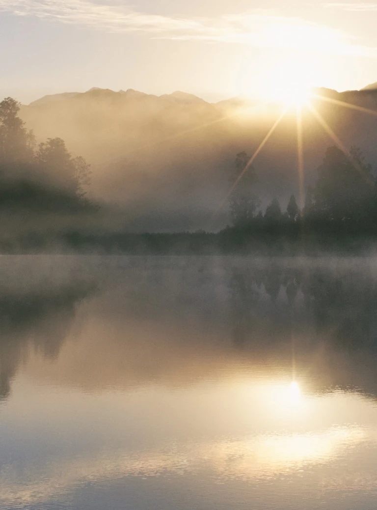 pełny zachód słońca nad&nbsp;lasem